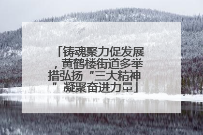铸魂聚力促发展，黄鹤楼街道多举措弘扬“三大精神”凝聚奋进力量