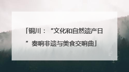 铜川：“文化和自然遗产日”奏响非遗与美食交响曲