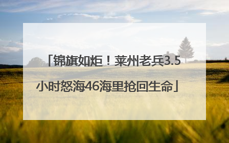 锦旗如炬！莱州老兵3.5小时怒海46海里抢回生命
