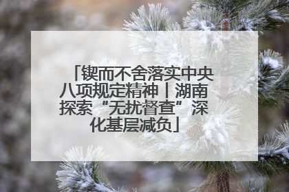 锲而不舍落实中央八项规定精神丨湖南探索“无扰督查”深化基层减负