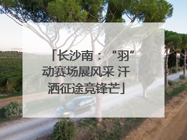 长沙南：“羽”动赛场展风采 汗洒征途竞锋芒