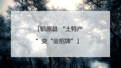 镇原县 “土特产”变“金招牌”