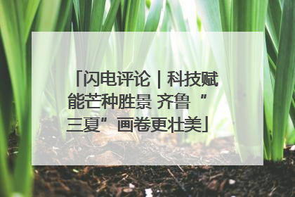 闪电评论｜科技赋能芒种胜景 齐鲁“三夏”画卷更壮美