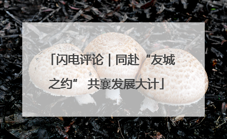 闪电评论｜同赴“友城之约” 共襄发展大计