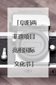 阜阳两非遗项目亮相国际文化节
