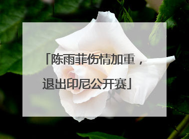 陈雨菲伤情加重，退出印尼公开赛