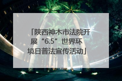 陕西神木市法院开展“6.5”世界环境日普法宣传活动