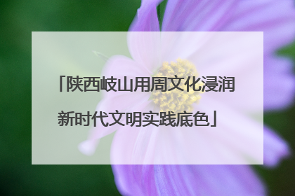 陕西岐山用周文化浸润新时代文明实践底色