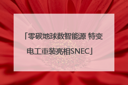 零碳地球数智能源 特变电工重装亮相SNEC