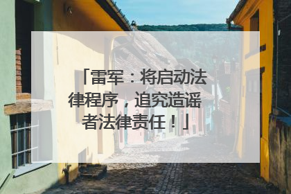雷军：将启动法律程序，追究造谣者法律责任！
