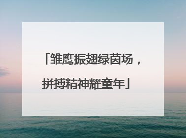 雏鹰振翅绿茵场，拼搏精神耀童年