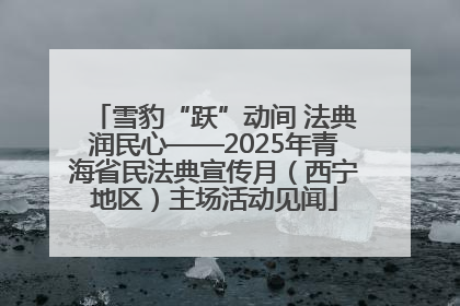雪豹“跃”动间 法典润民心——2025年青海省民法典宣传月（西宁地区）主场活动见闻