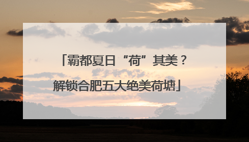 霸都夏日“荷”其美？解锁合肥五大绝美荷塘