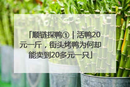 顺链探鸭①｜活鸭20元一斤，街头烤鸭为何却能卖到20多元一只