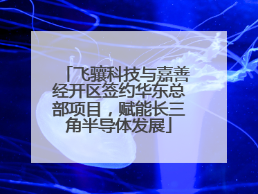 飞骧科技与嘉善经开区签约华东总部项目，赋能长三角半导体发展