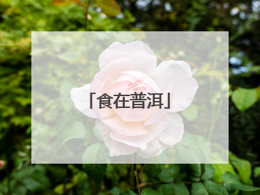 食在普洱