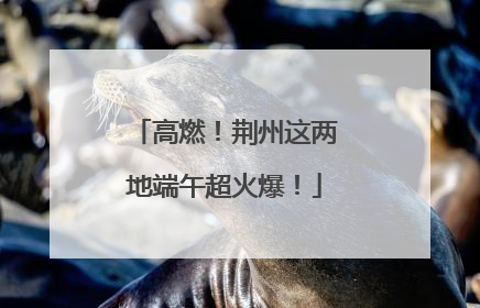 高燃！荆州这两地端午超火爆！
