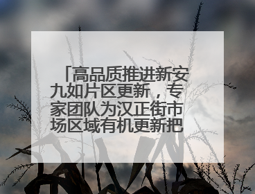 高品质推进新安九如片区更新，专家团队为汉正街市场区域有机更新把脉问诊