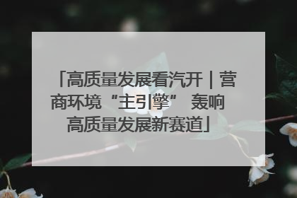 高质量发展看汽开｜营商环境“主引擎” 轰响高质量发展新赛道