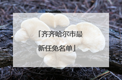 齐齐哈尔市最新任免名单