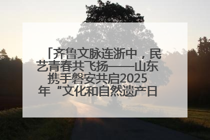 齐鲁文脉连浙中，民艺青春共飞扬——山东携手磐安共启2025年“文化和自然遗产日”系列活动