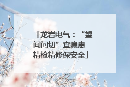 龙岩电气：“望闻问切”查隐患 精检精修保安全