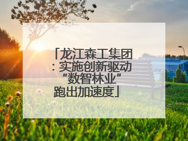 龙江森工集团：实施创新驱动 “数智林业”跑出加速度