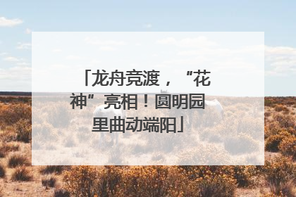 龙舟竞渡，“花神”亮相！圆明园里曲动端阳