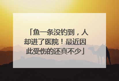 鱼一条没钓到，人却进了医院！最近因此受伤的还真不少