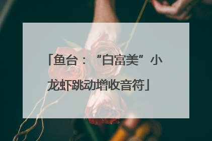 鱼台：“白富美”小龙虾跳动增收音符