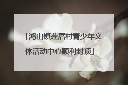 鸿山镇莲厝村青少年文体活动中心顺利封顶