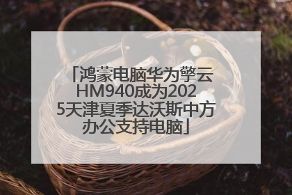 鸿蒙电脑华为擎云 HM940成为2025天津夏季达沃斯中方办公支持电脑