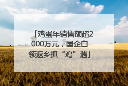 鸡蛋年销售额超2000万元，国企白领返乡抓“鸡”遇