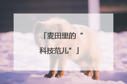 麦田里的“科技范儿”