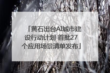 黄石出台AI城市建设行动计划 首批27个应用场景清单发布