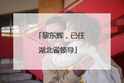 黎东辉，已任湖北省领导