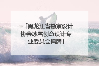 黑龙江省勘察设计协会冰雪创意设计专业委员会揭牌