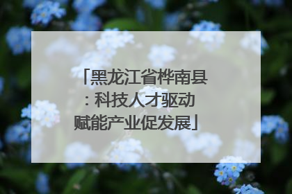 黑龙江省桦南县：科技人才驱动 赋能产业促发展