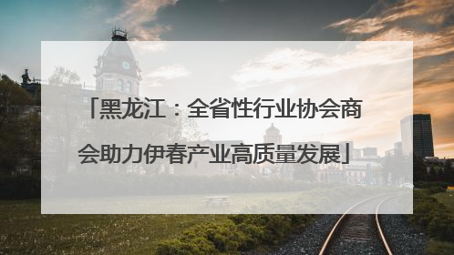 黑龙江：全省性行业协会商会助力伊春产业高质量发展