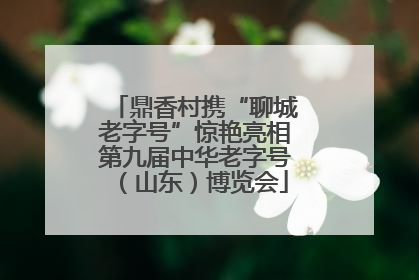 鼎香村携“聊城老字号”惊艳亮相第九届中华老字号（山东）博览会