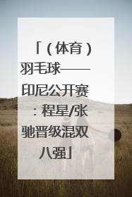 （体育）羽毛球——印尼公开赛：程星/张驰晋级混双八强