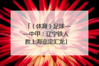 （体育）足球——中甲：辽宁铁人胜上海嘉定汇龙