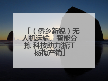 （侨乡新貌）无人机运输、智能分拣 科技助力浙江杨梅产销