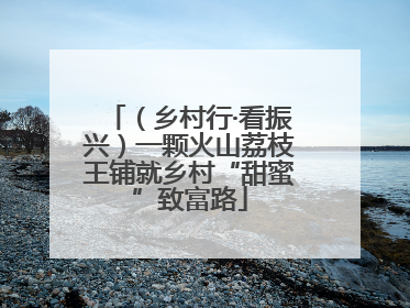 （乡村行·看振兴）一颗火山荔枝王铺就乡村“甜蜜”致富路
