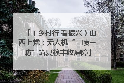 （乡村行·看振兴）山西上党：无人机“一喷三防”筑夏粮丰收屏障