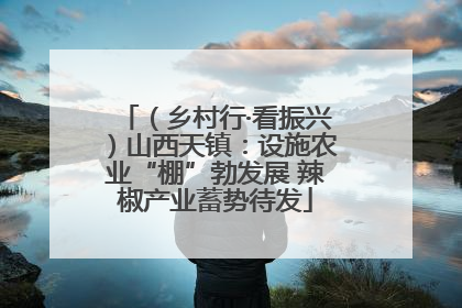 （乡村行·看振兴）山西天镇：设施农业“棚”勃发展 辣椒产业蓄势待发