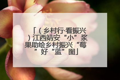 （乡村行·看振兴）江西靖安“小”浆果助绘乡村振兴“莓”好“蓝”图