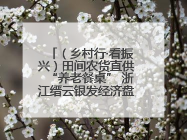 （乡村行·看振兴）田间农货直供“养老餐桌” 浙江缙云银发经济盘活山区资源