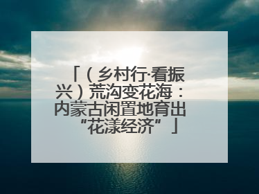 （乡村行·看振兴）荒沟变花海：内蒙古闲置地育出“花漾经济”