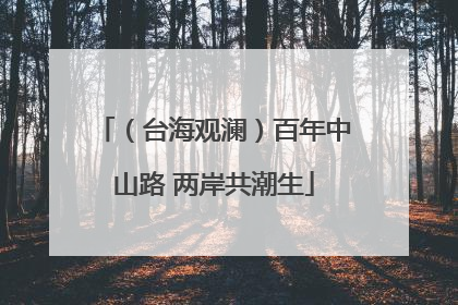 （台海观澜）百年中山路 两岸共潮生